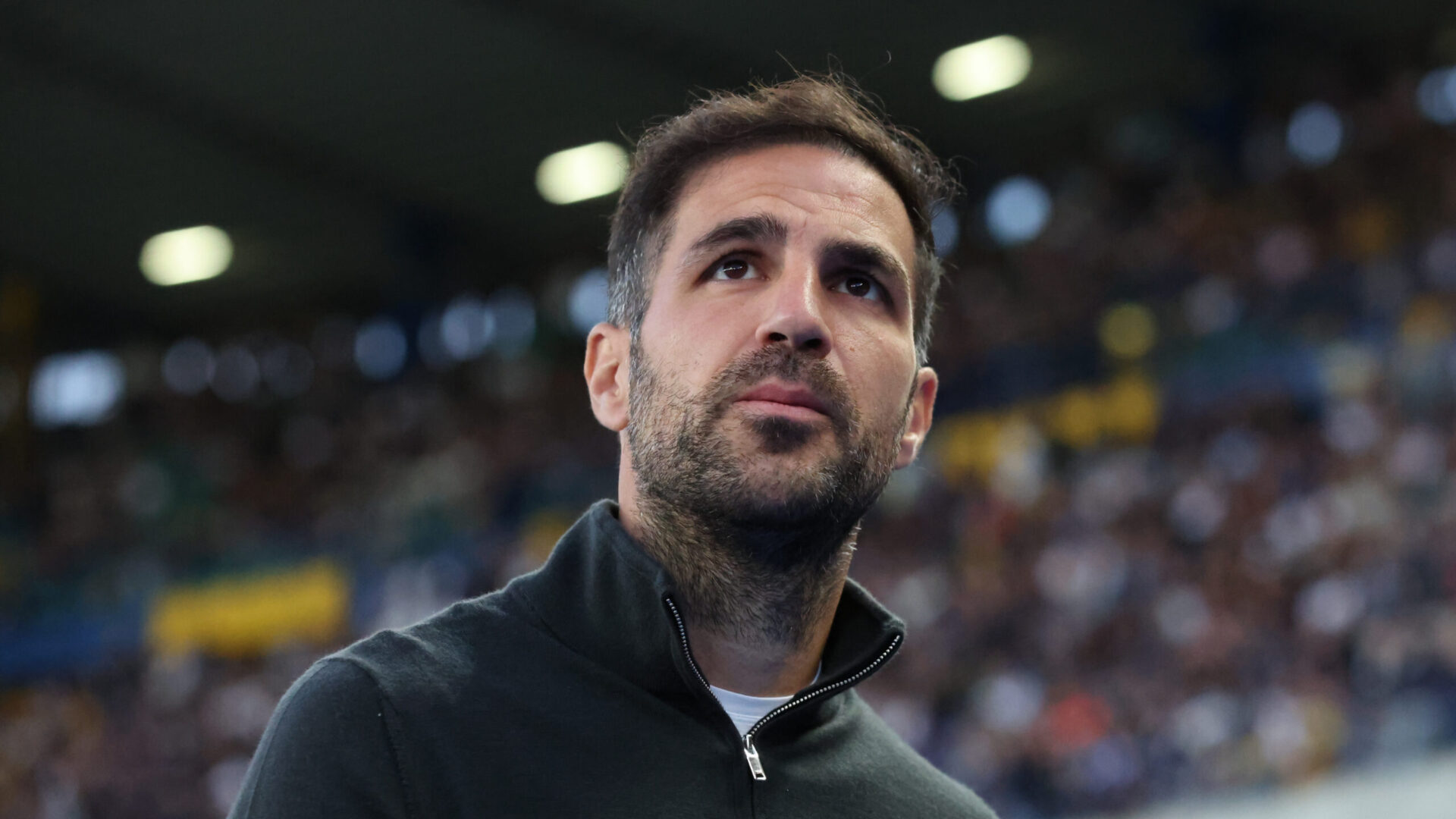 Cesc Fabregas, allenatore del Como